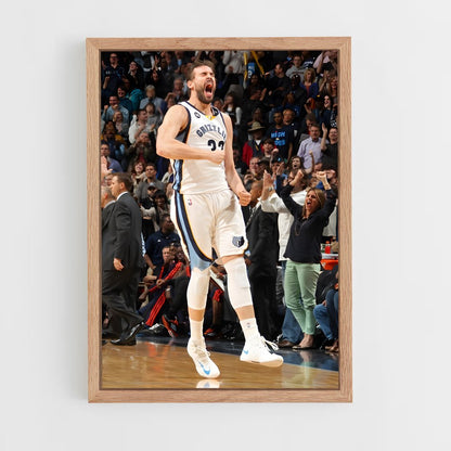 ap-marc gasol-2 cadre Bois clair