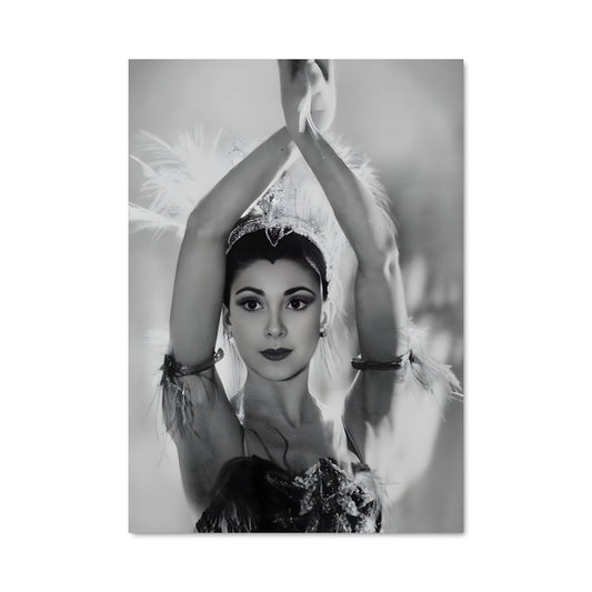 Poster Plume et Élégance