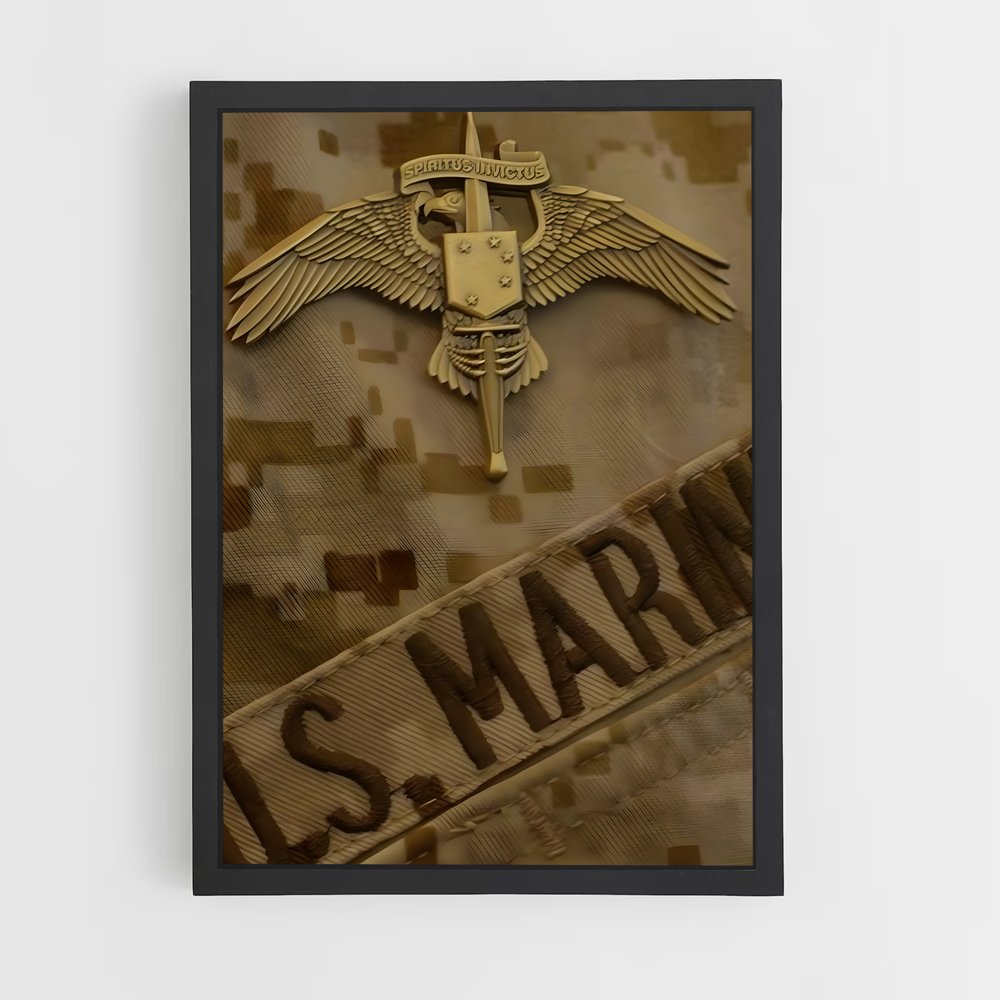 ap-marine corps-4 cadre Noir