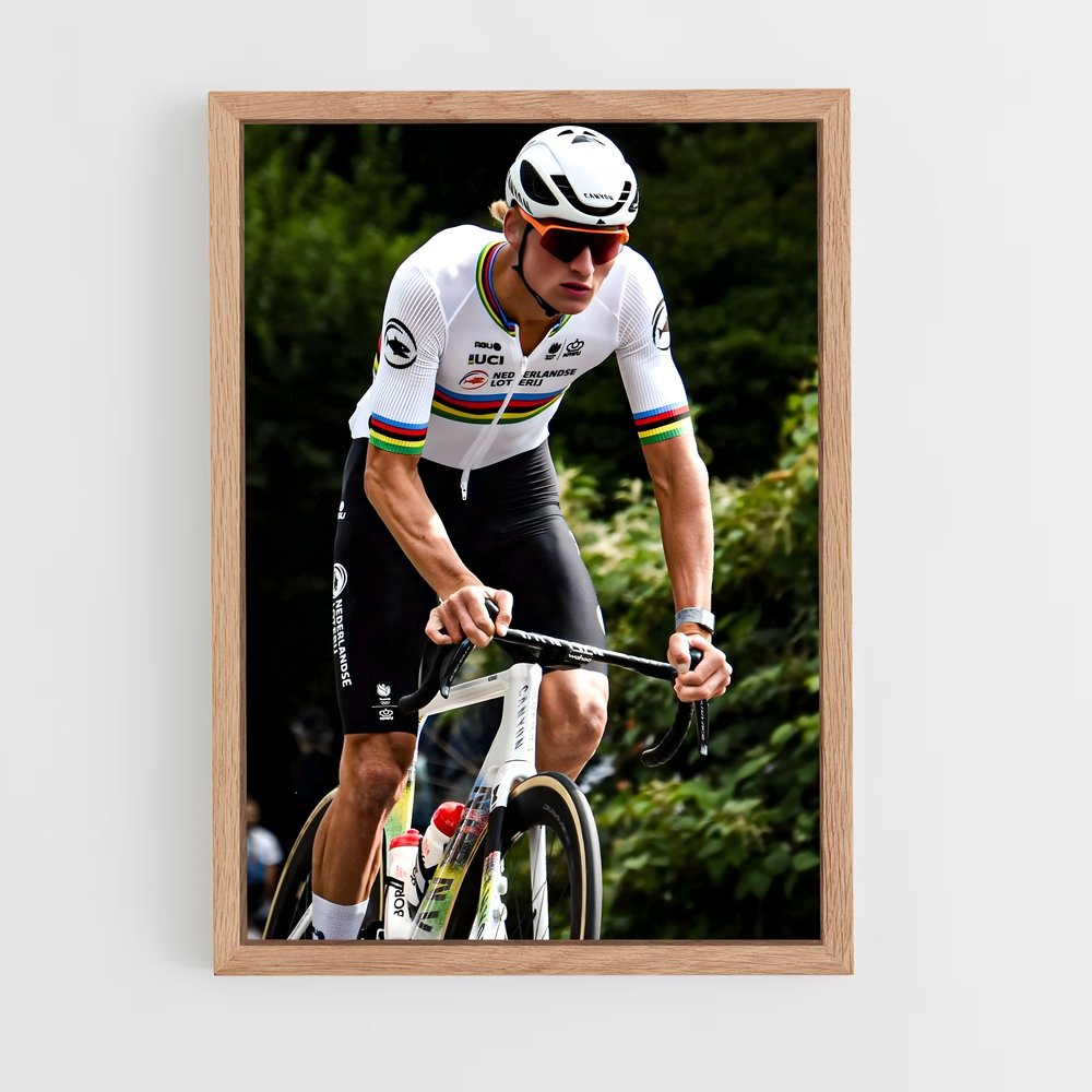 ap-mathieu van der poel-3 cadre Bois clair