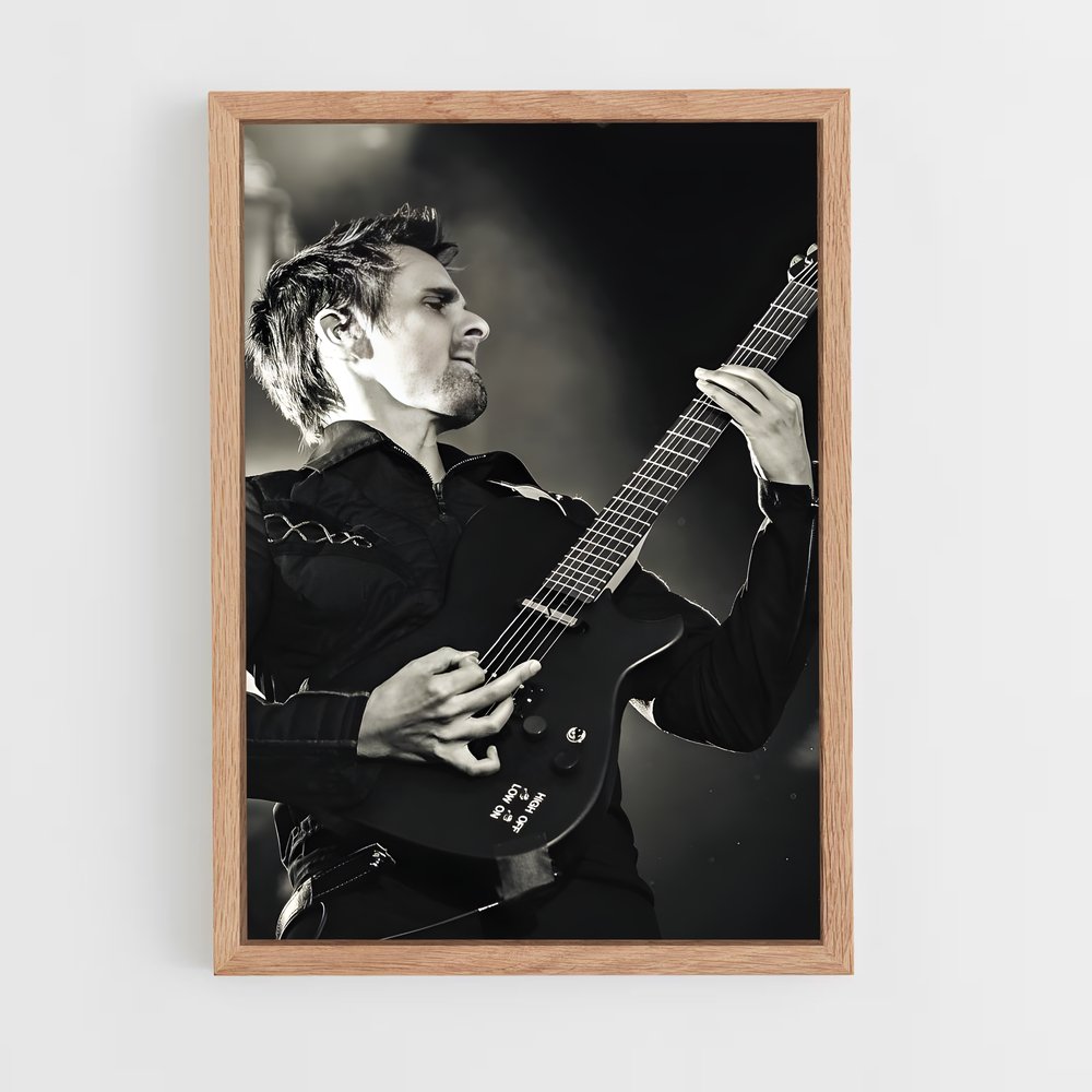ap-matt bellamy-1 cadre Bois clair
