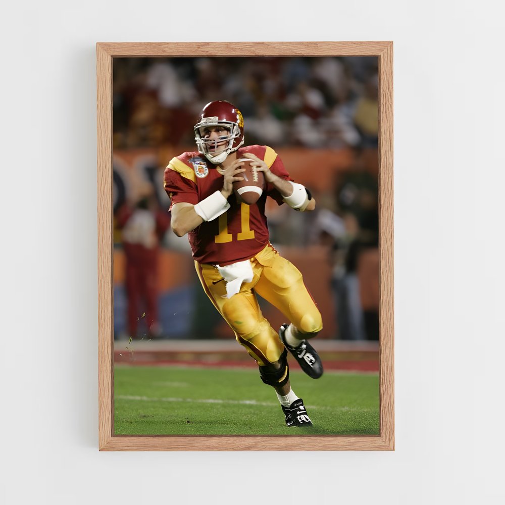 ap-matt leinart-2 cadre Bois clair