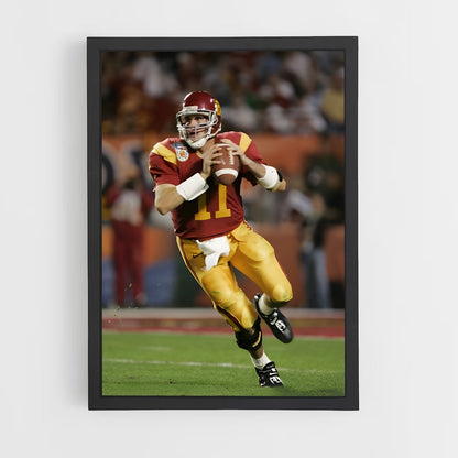 ap-matt leinart-2 cadre Noir