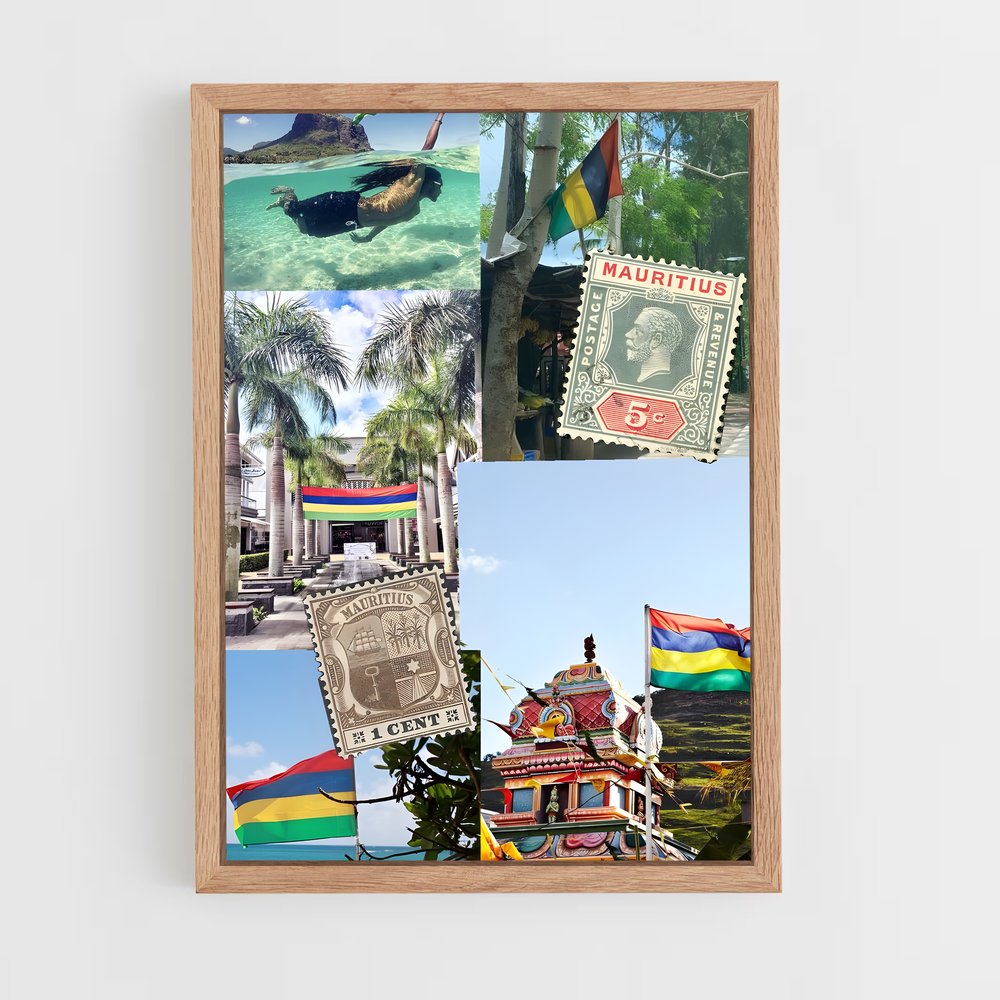 ap-mauritius flag-1 cadre Bois clair