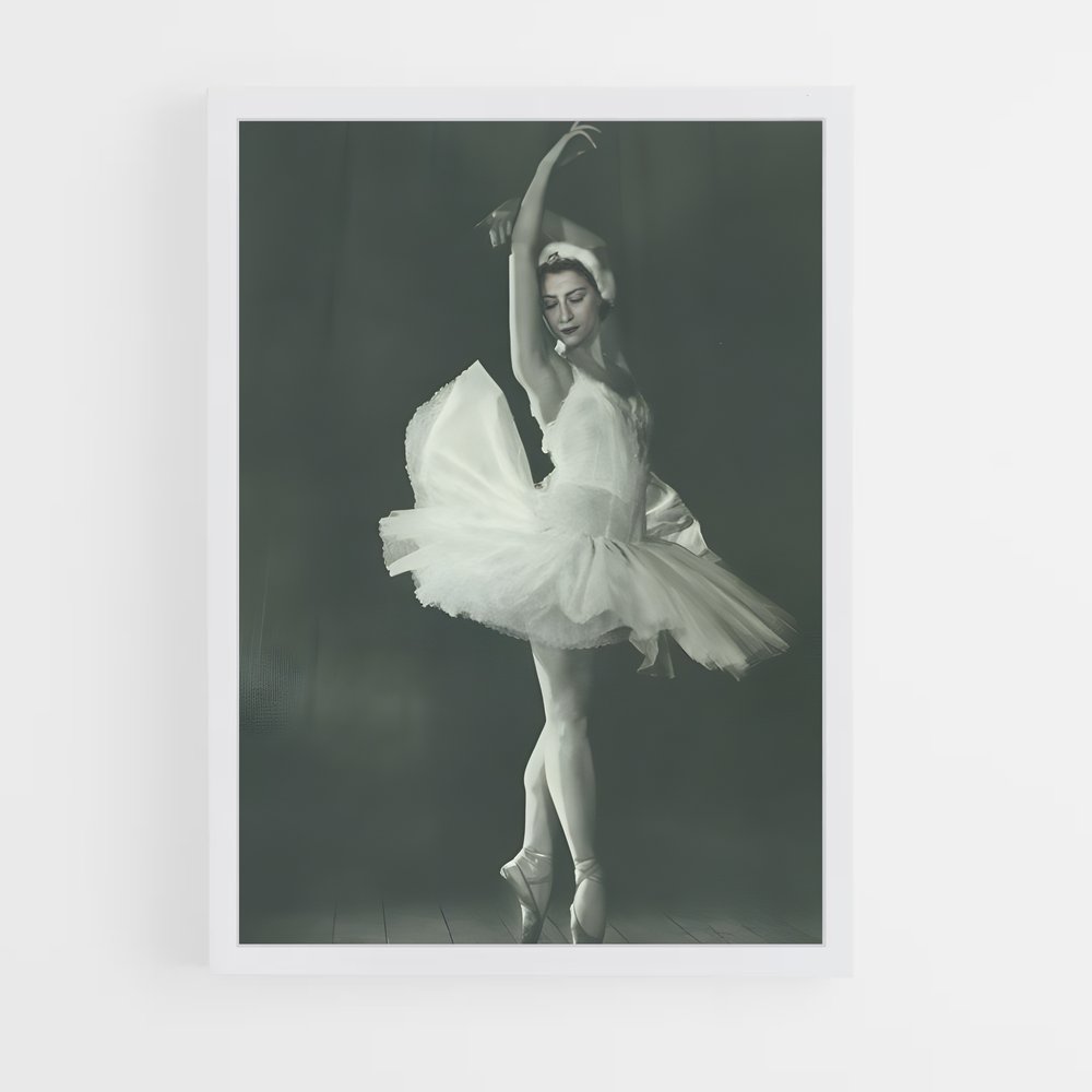 ap-maya plisetskaya-7 cadre Blanc