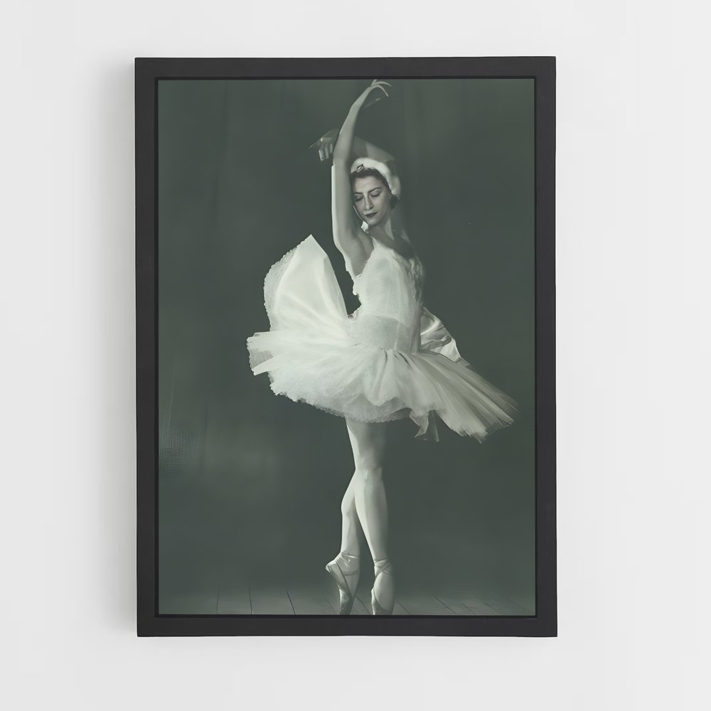 ap-maya plisetskaya-7 cadre Noir