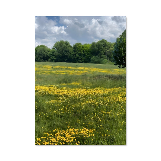 Poster Champ de Miel