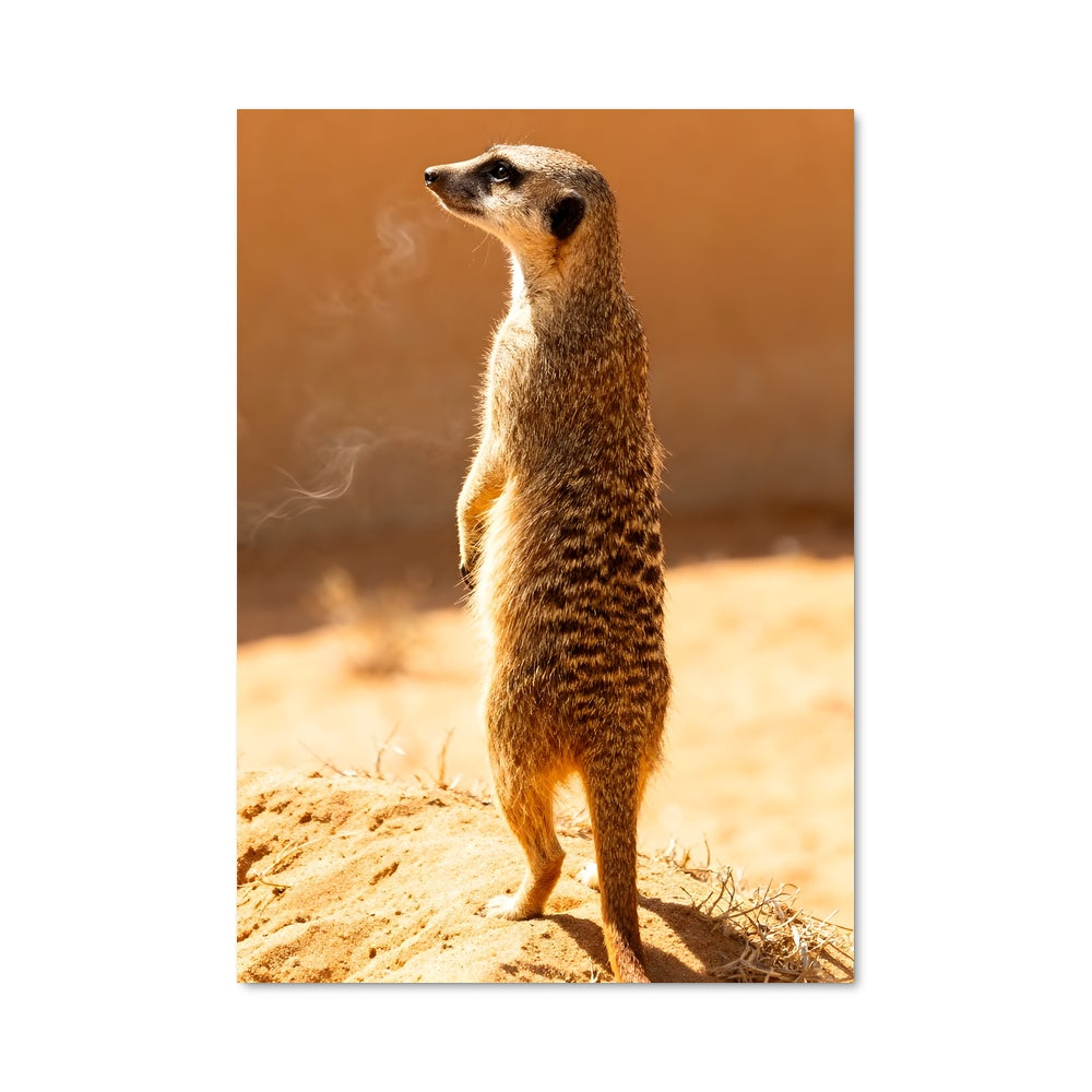 Poster Sur les Gardes