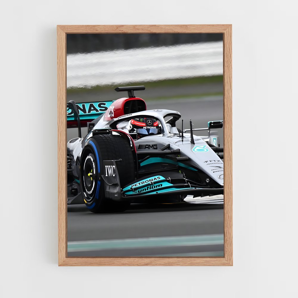 ap-mercedes w13-5 cadre Bois clair