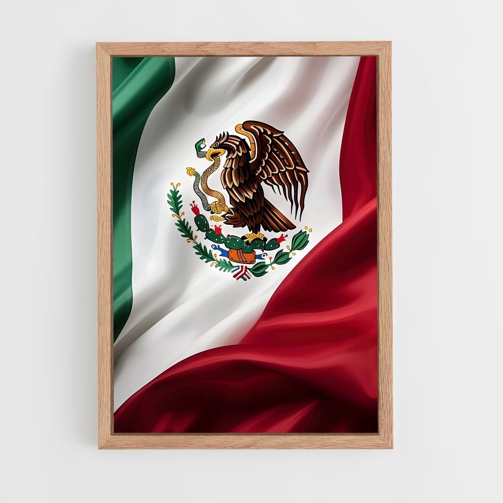ap-mexico city flag-1 cadre Bois clair