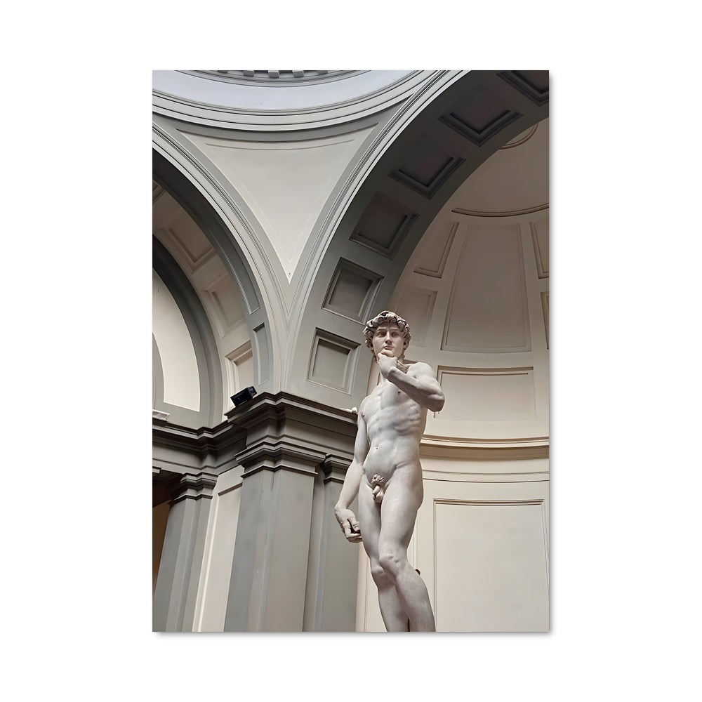 Poster Michelangelo 19011