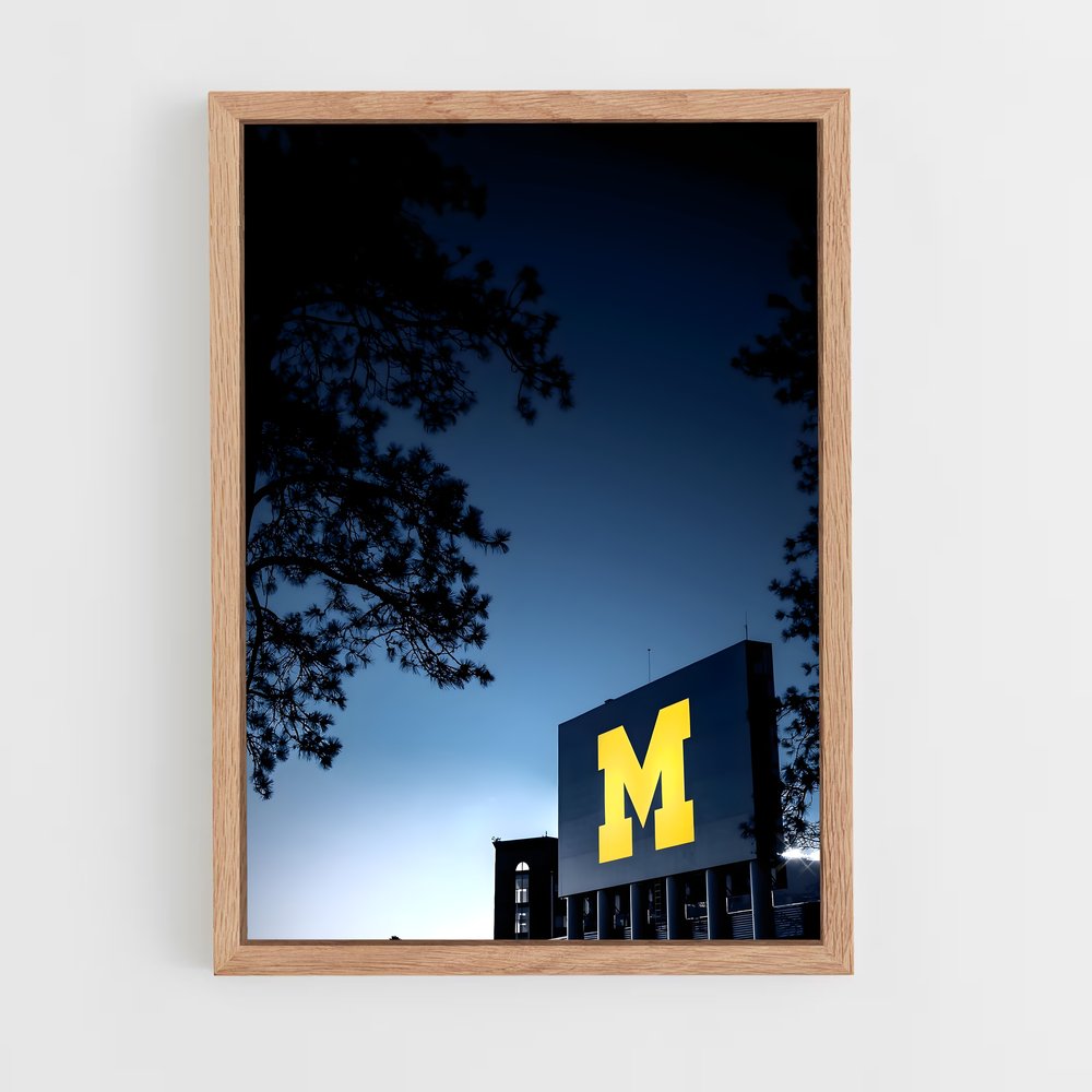 ap-michigan wolverines-4 cadre Bois clair