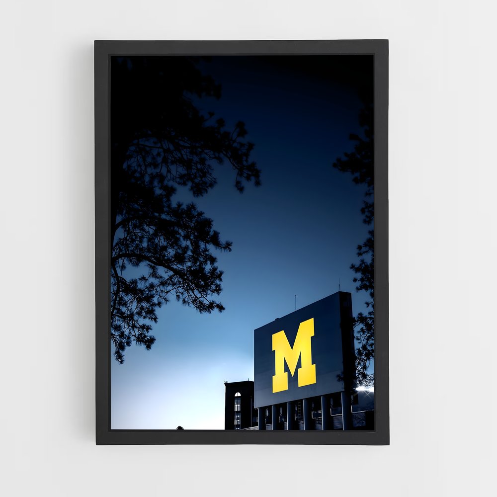 ap-michigan wolverines-4 cadre Noir