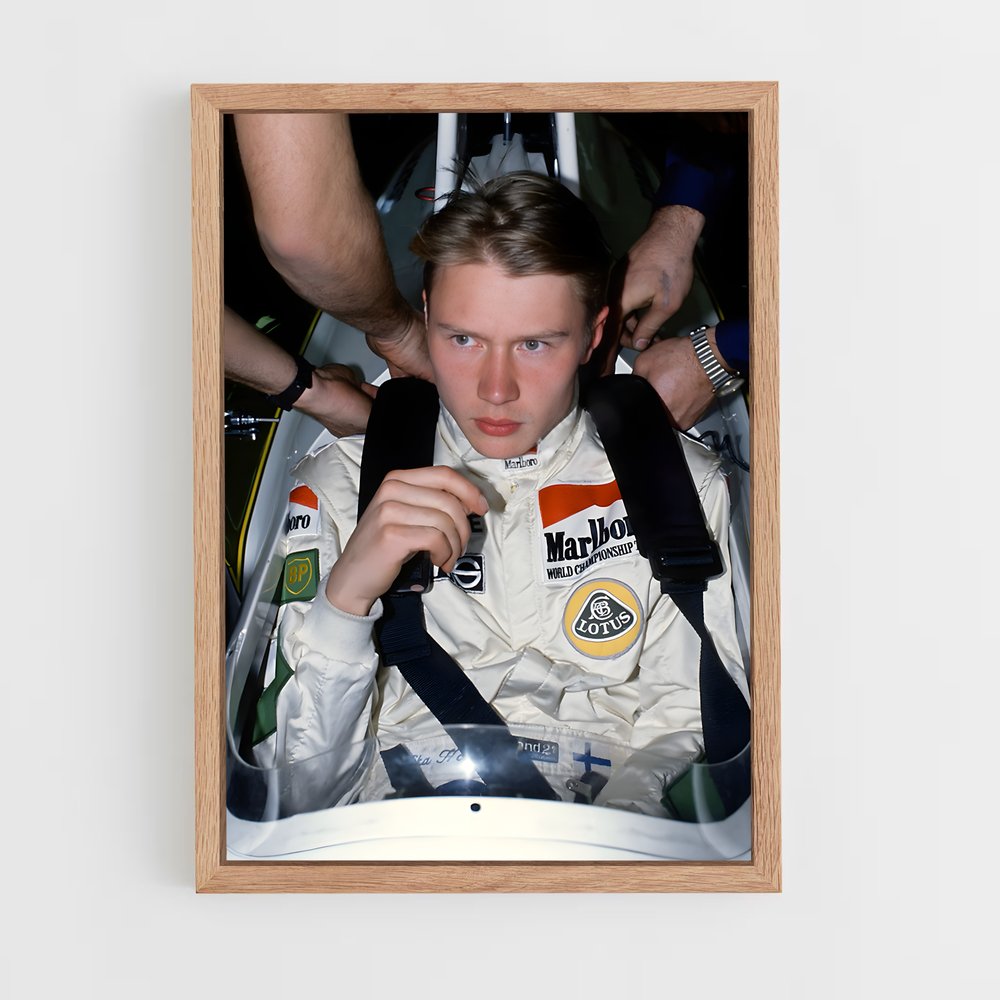 ap-mika hakkinen-1 cadre Bois clair