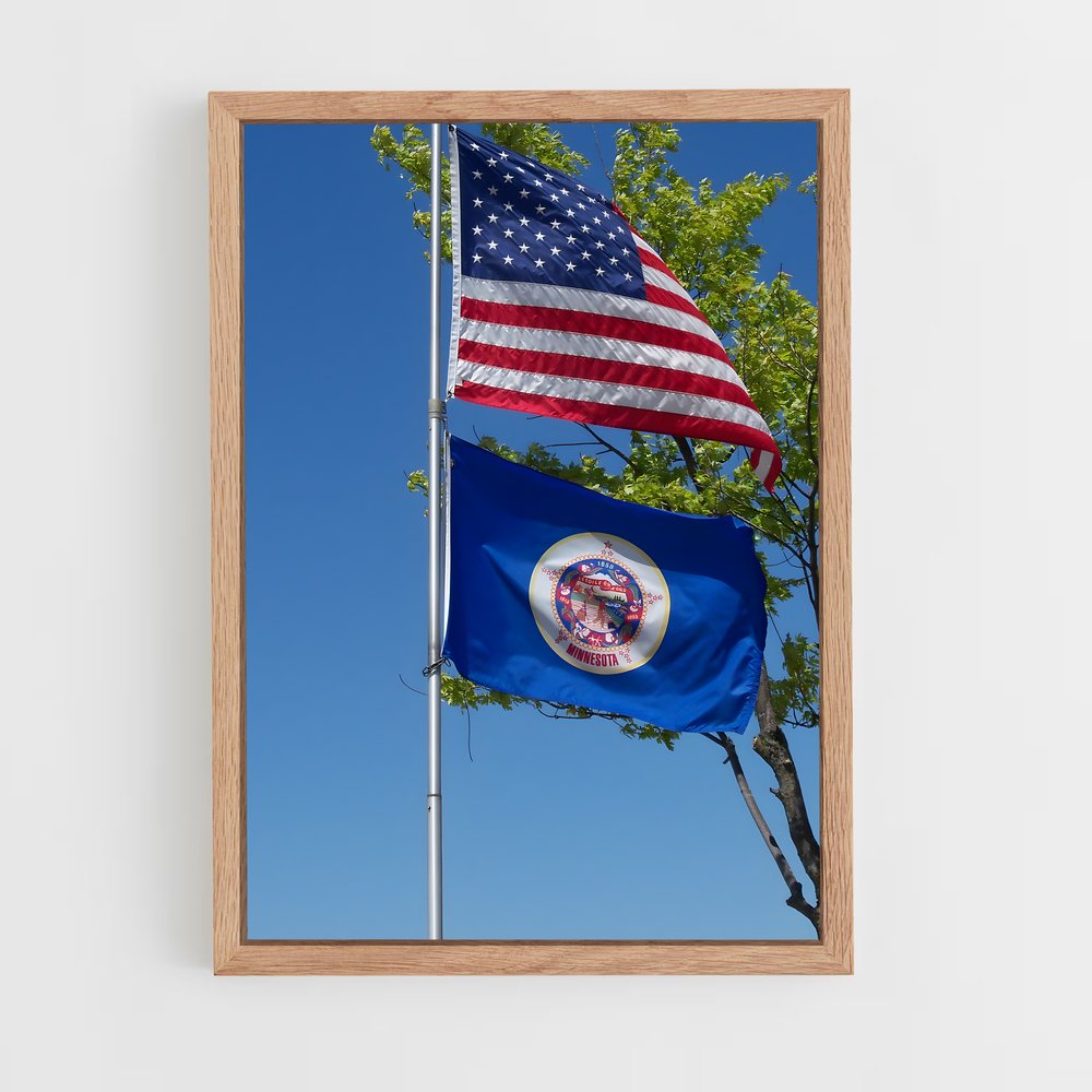 ap-minnesota flag-1 cadre Bois clair