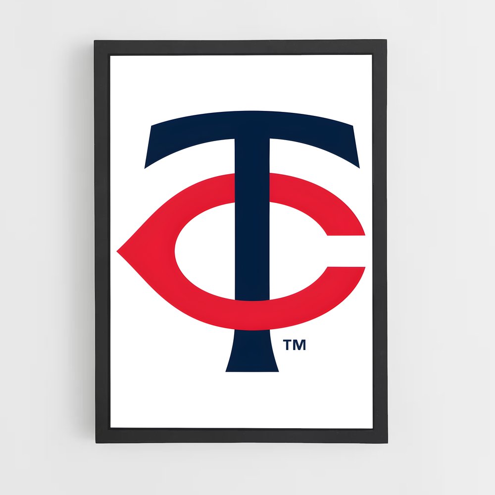 ap-minnesota twins-5 cadre Noir