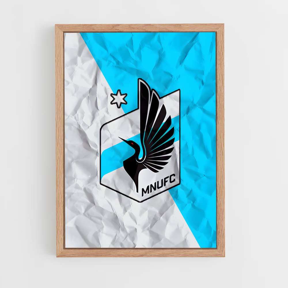ap-minnesota united fc-2 cadre Bois clair