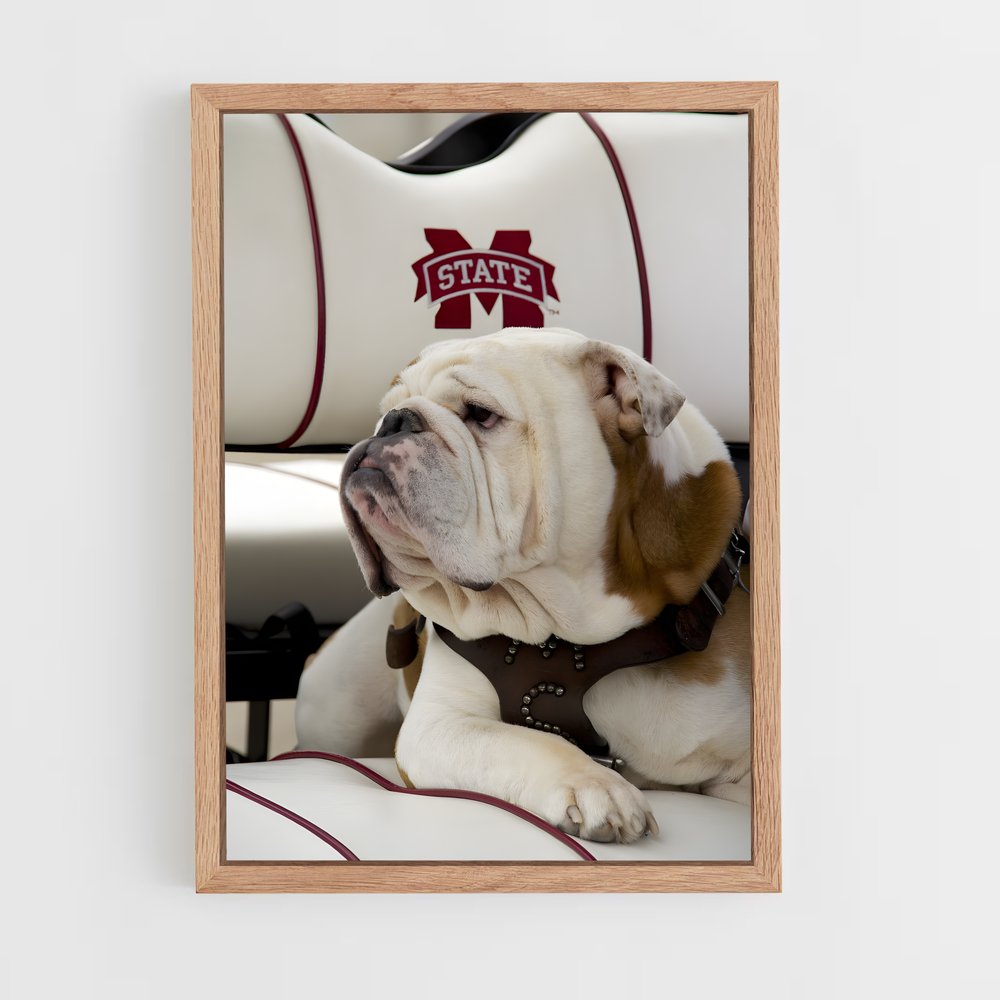 ap-mississippi state bulldogs-4 cadre Bois clair