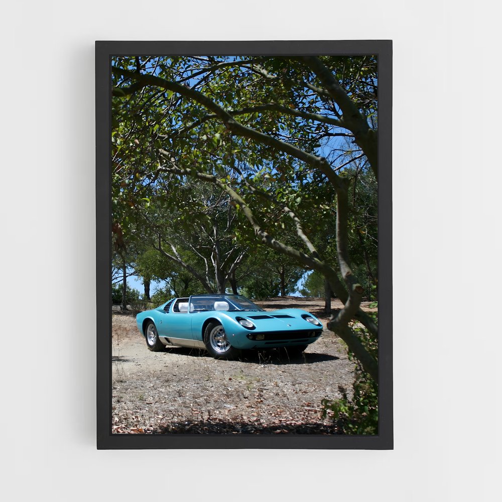 ap-miura roadster-1 cadre Noir