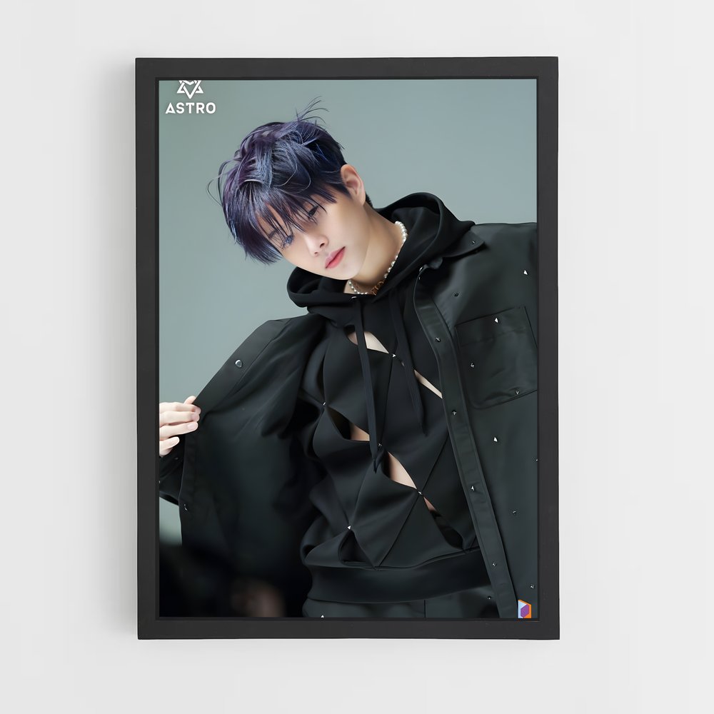 ap-mj-14 cadre Noir