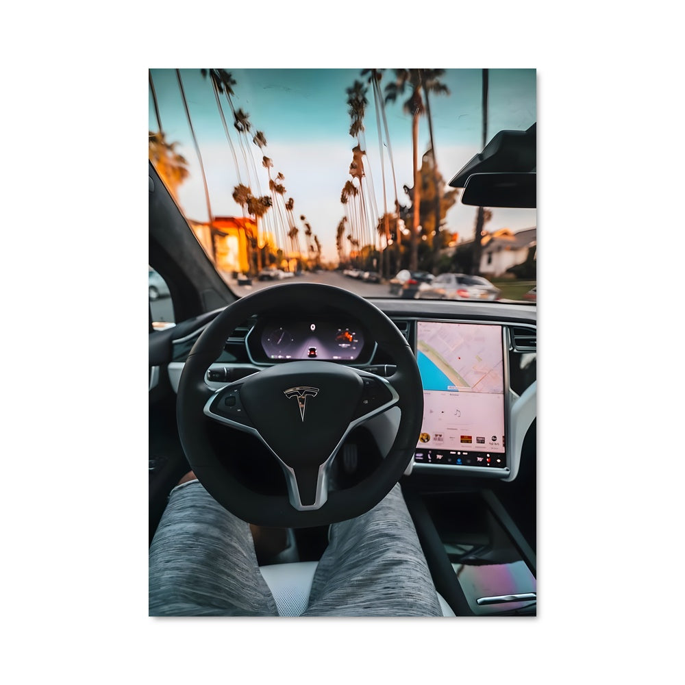 Poster Model s p100d 79700