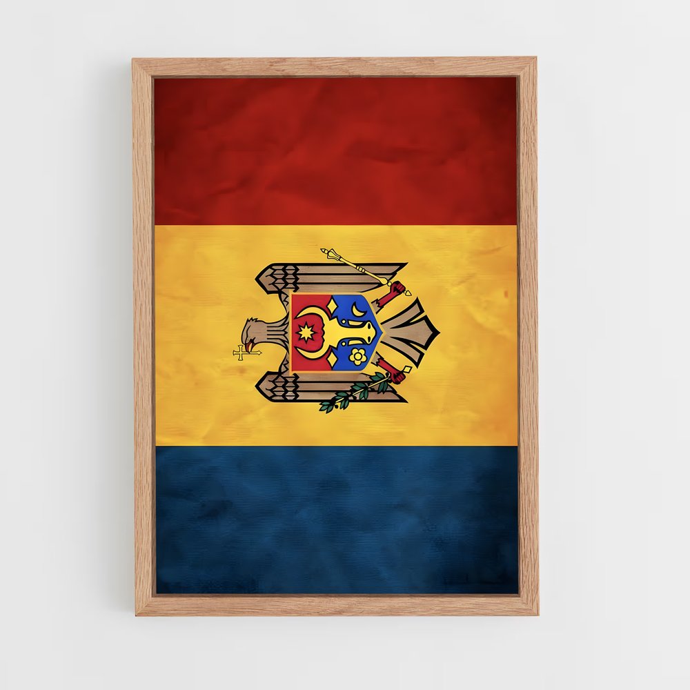 ap-moldova flag-1 cadre Bois clair