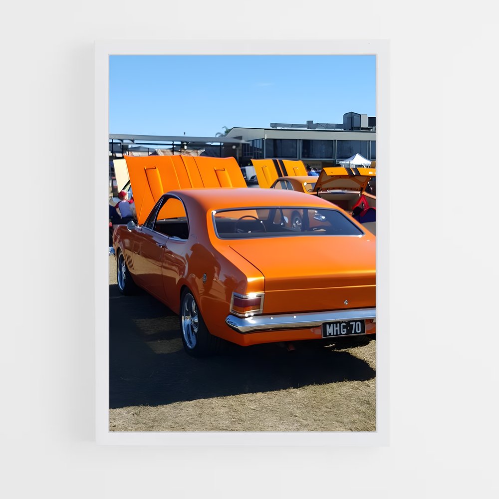ap-monaro-2 cadre Blanc