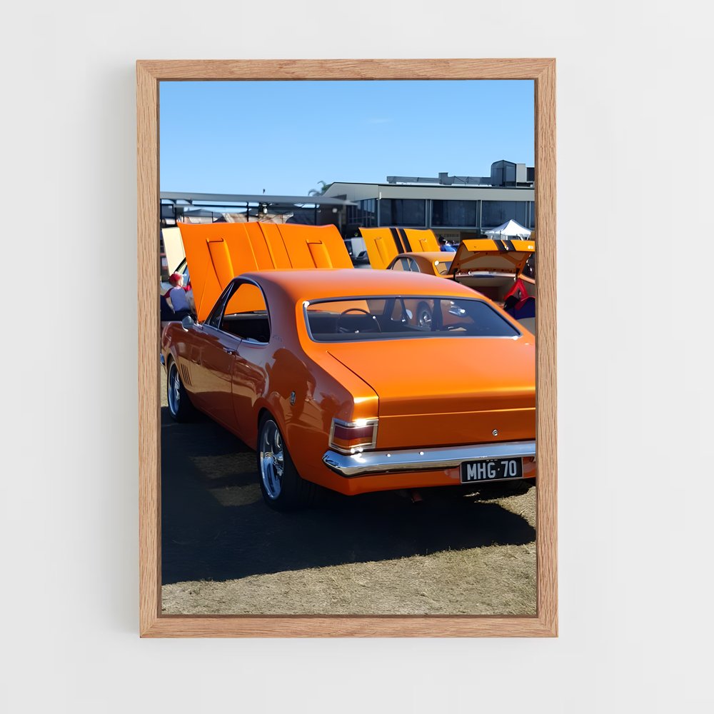 ap-monaro-2 cadre Bois clair