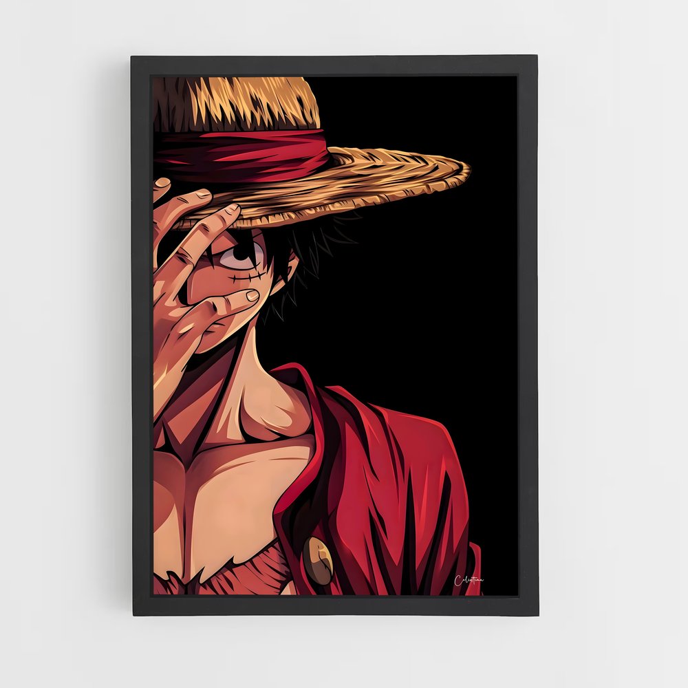 ap-monkey d luffy-8 cadre Noir