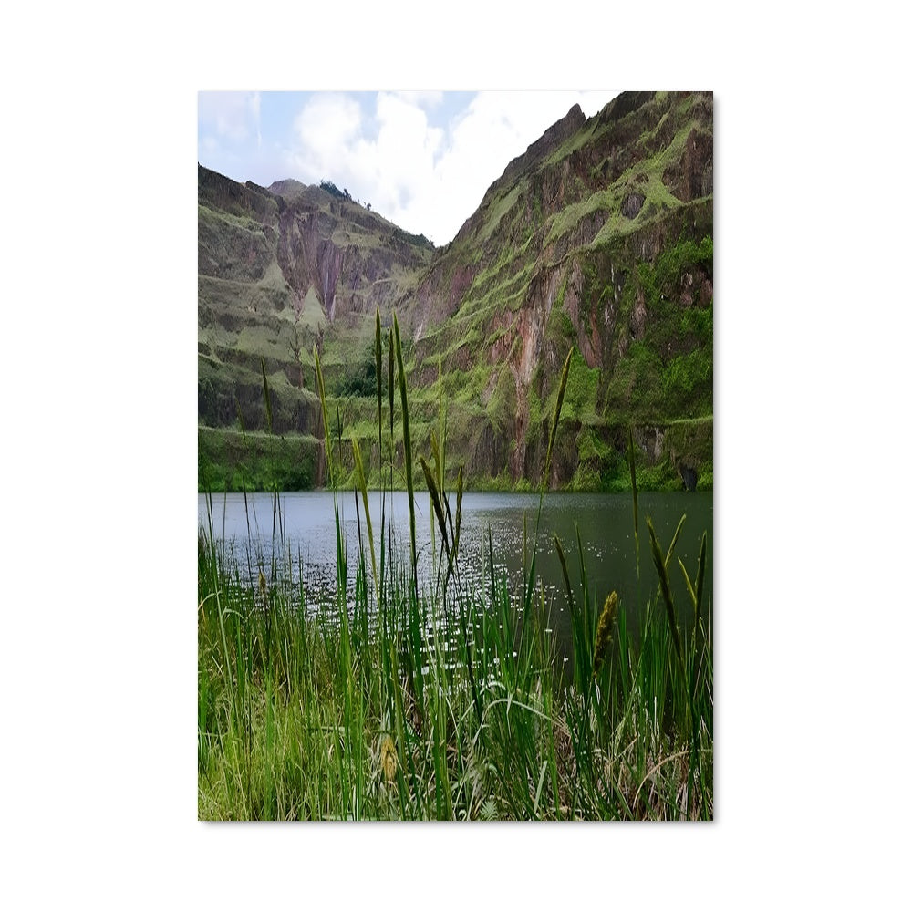 Poster Reflet de Monrovia