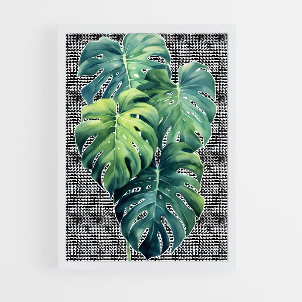 ap-monstera-2 cadre Blanc
