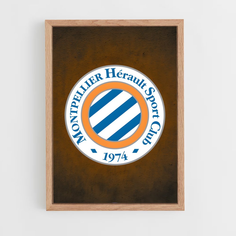 ap-montpellier hsc-3 cadre Bois clair