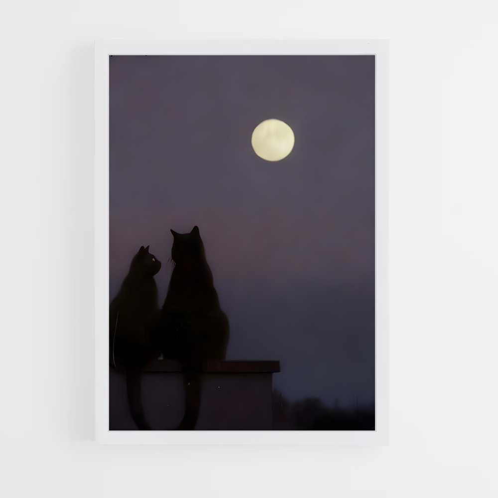 ap-moon-3 cadre Blanc