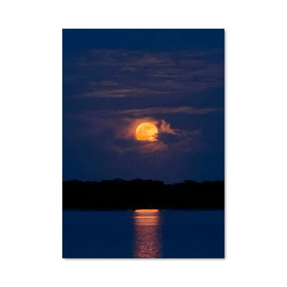 Poster Moon 97758
