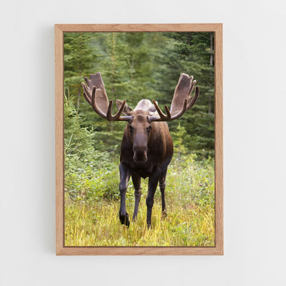 ap-moose-1 cadre Bois clair