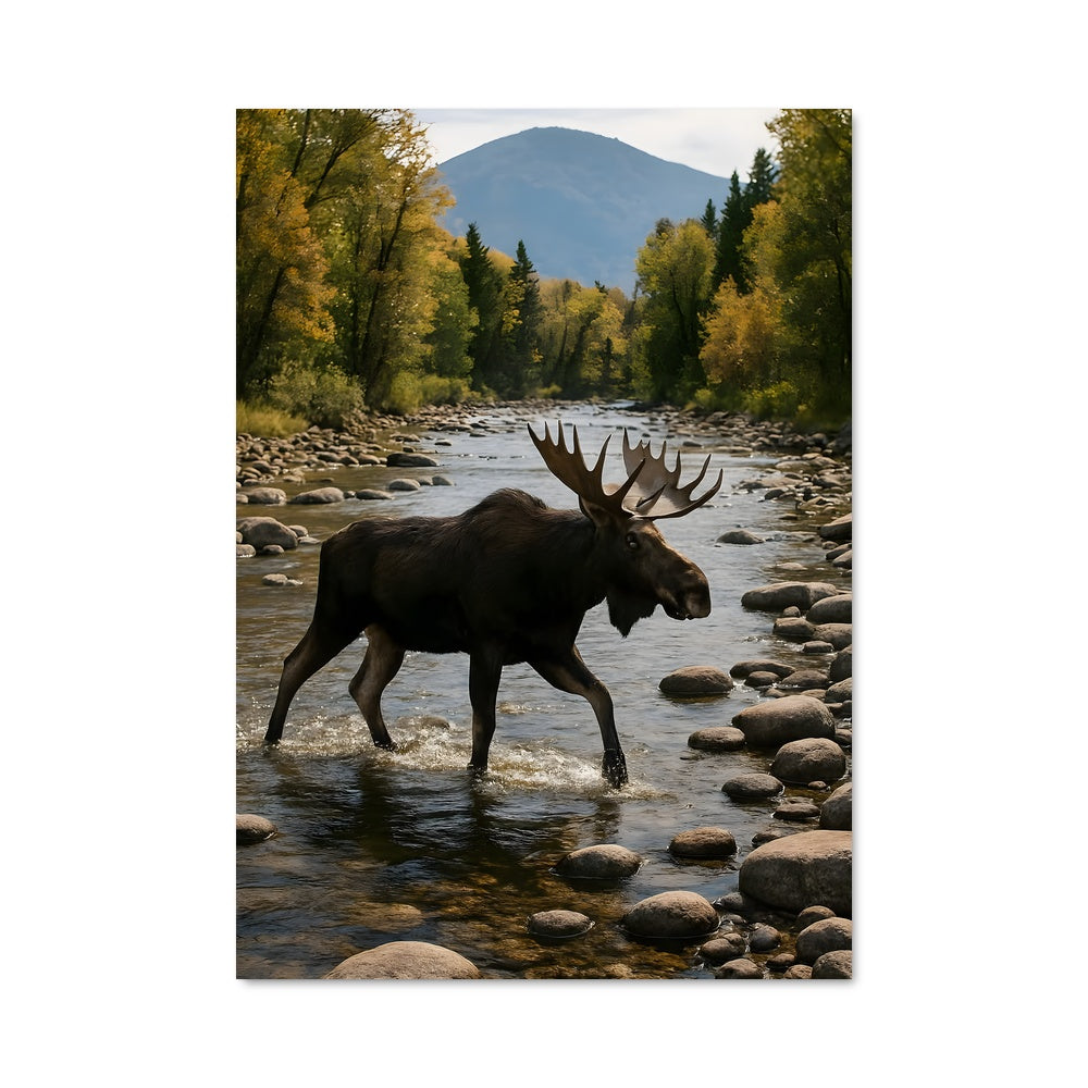 Poster Le Funambule des Eaux