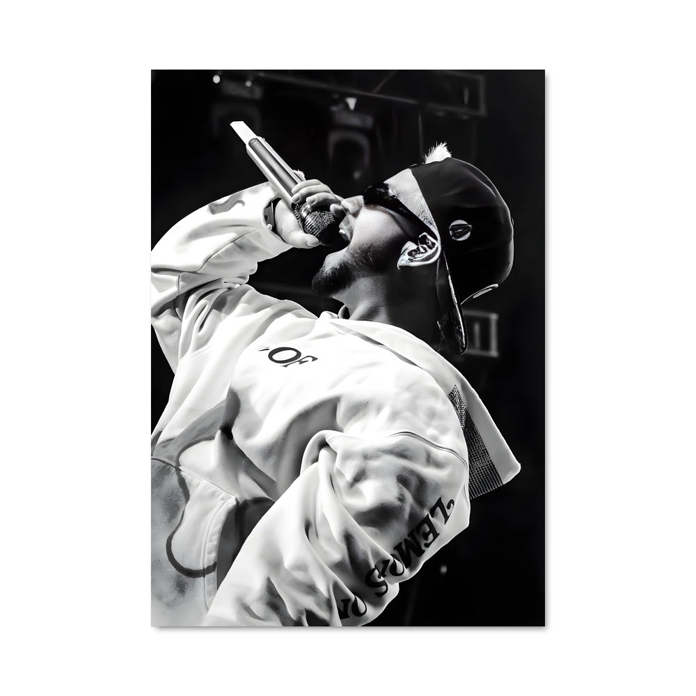 Poster The Performer