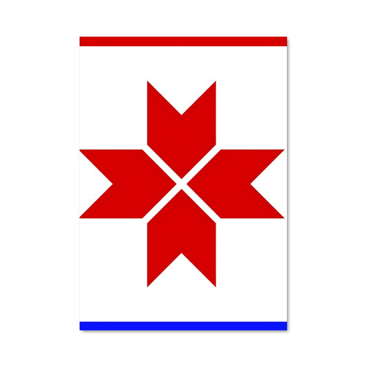 Poster Fierté Texane