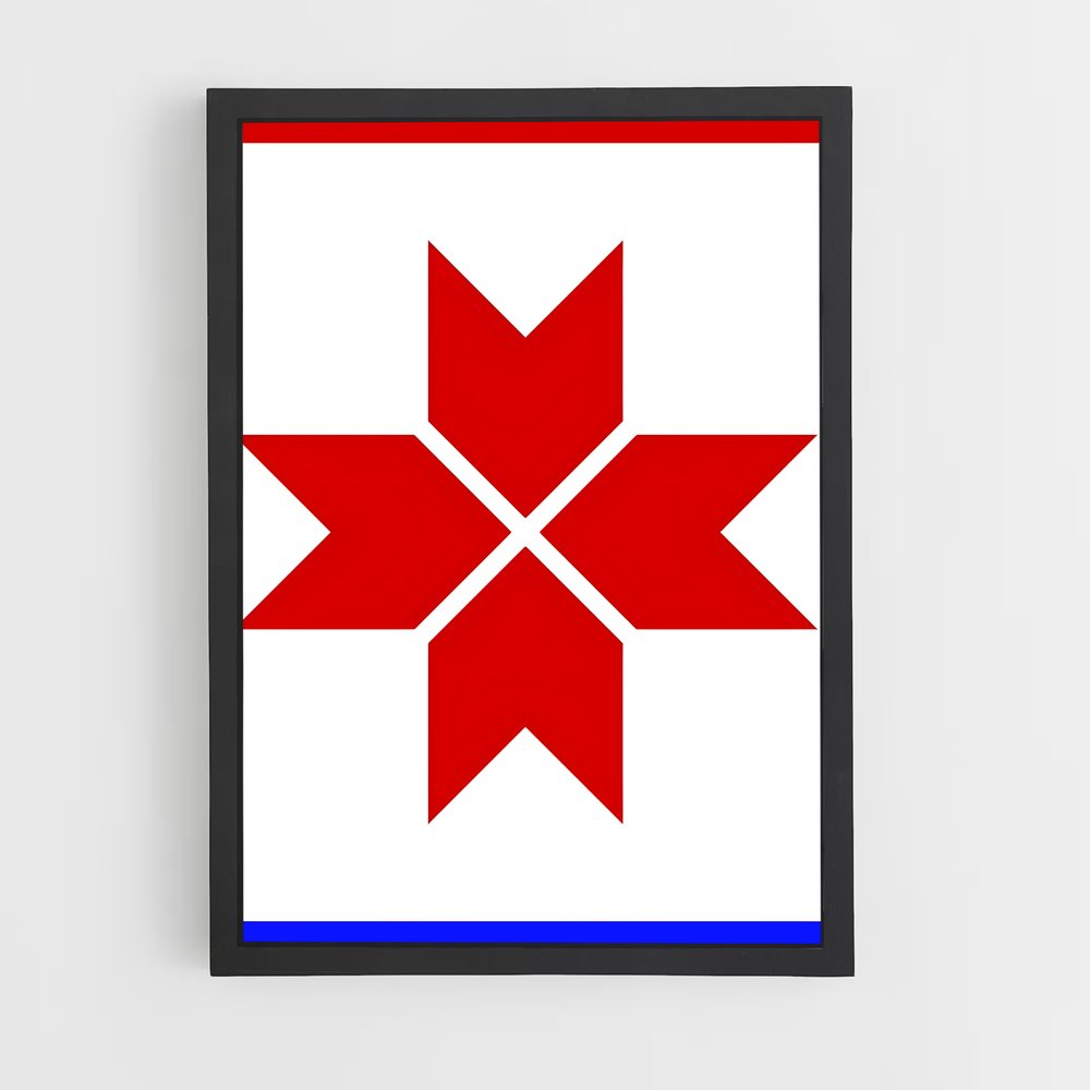 ap-mordovia flag-1 cadre Noir