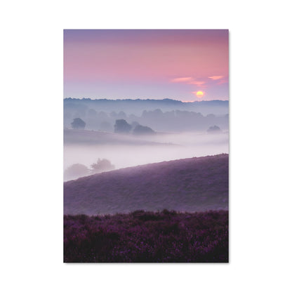 Poster Crépuscule Floral