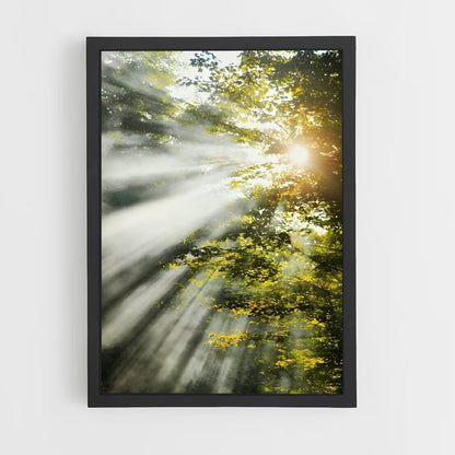 ap-morning light-2 cadre Noir