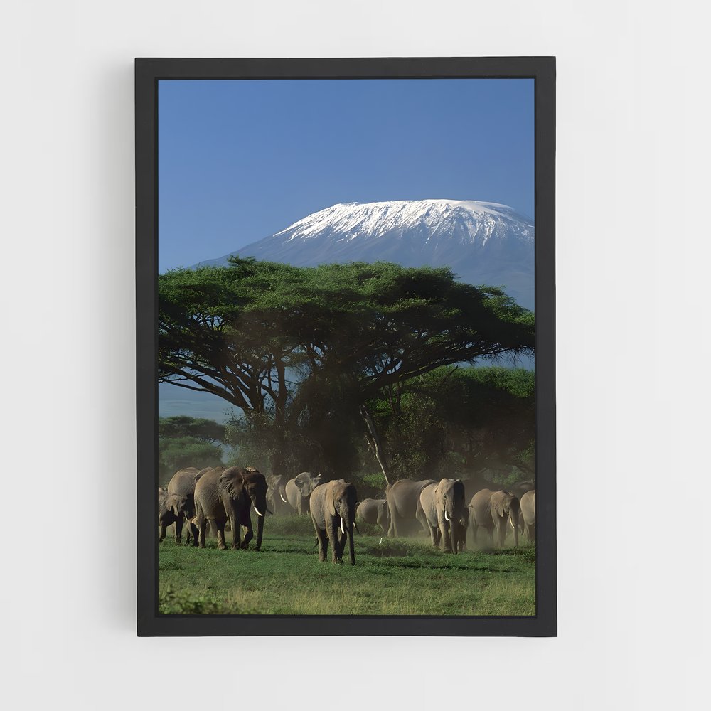 ap-mount kenya-1 cadre Noir