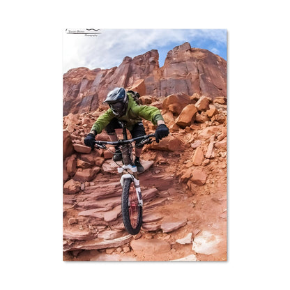 Poster Descente Sauvage