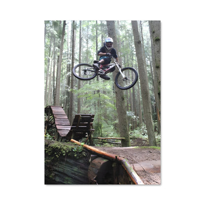 Poster Saut de Log