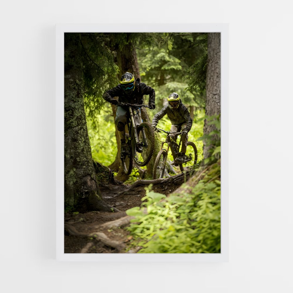 ap-mountain biking-5 cadre Blanc