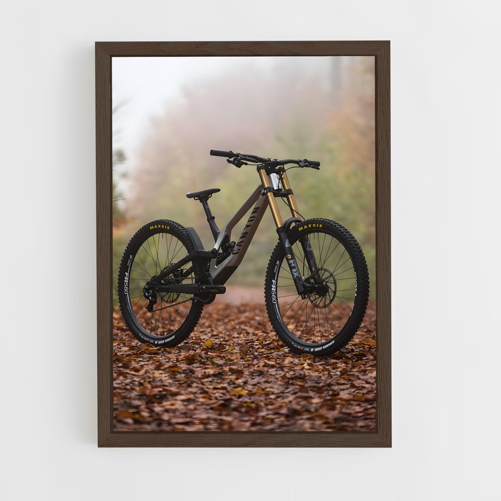 ap-mountain biking-6 cadre Bois foncé