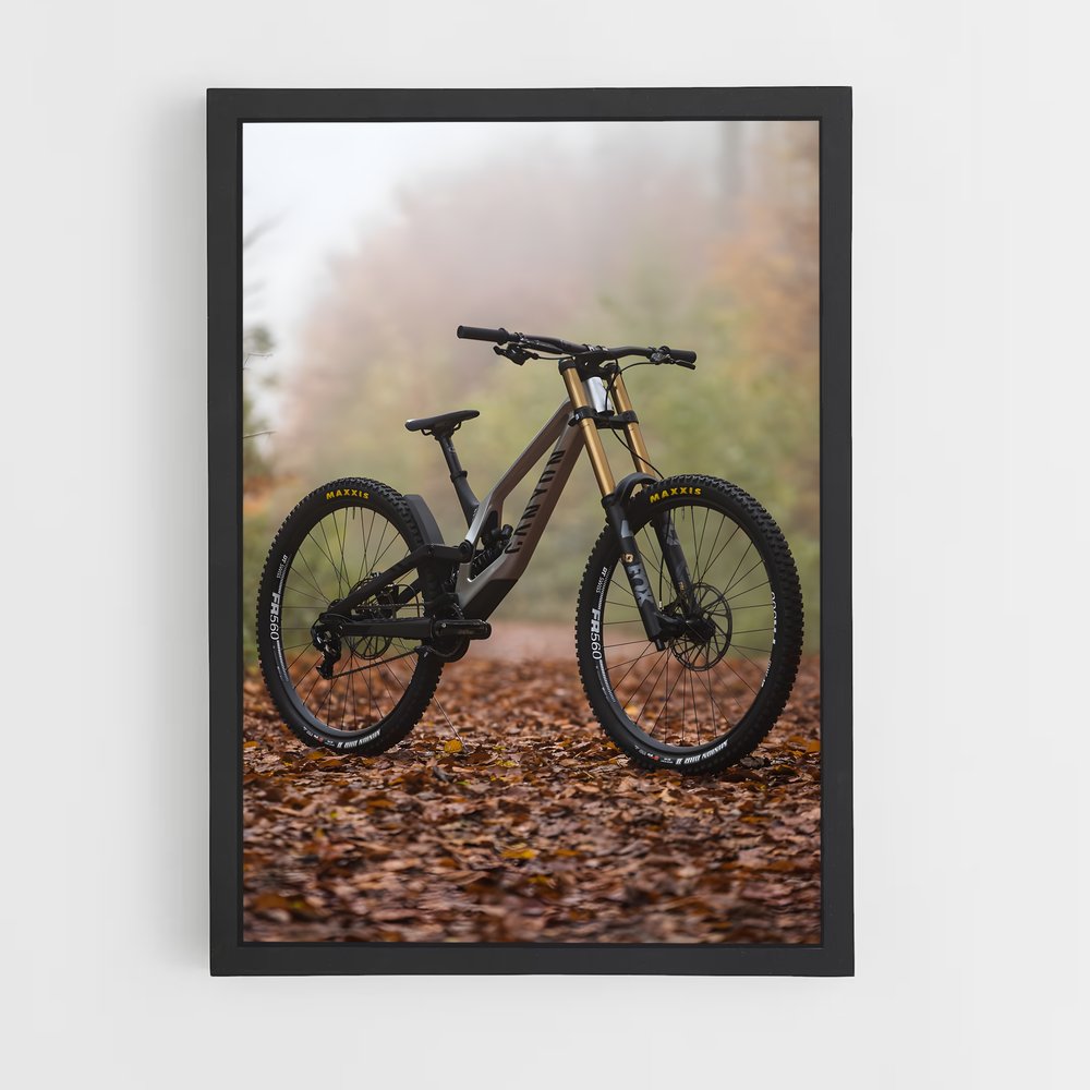 ap-mountain biking-6 cadre Noir
