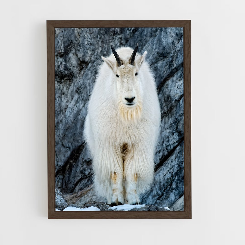 ap-mountain goat-5 cadre Bois foncé