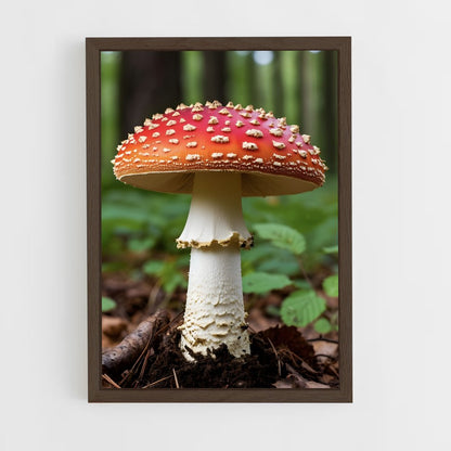 ap-mushroom-2 cadre Bois foncé