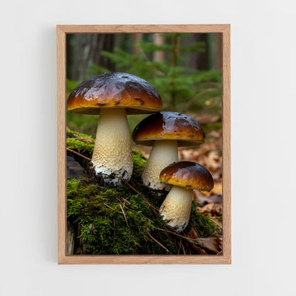 ap-mushroom-4 cadre Bois clair